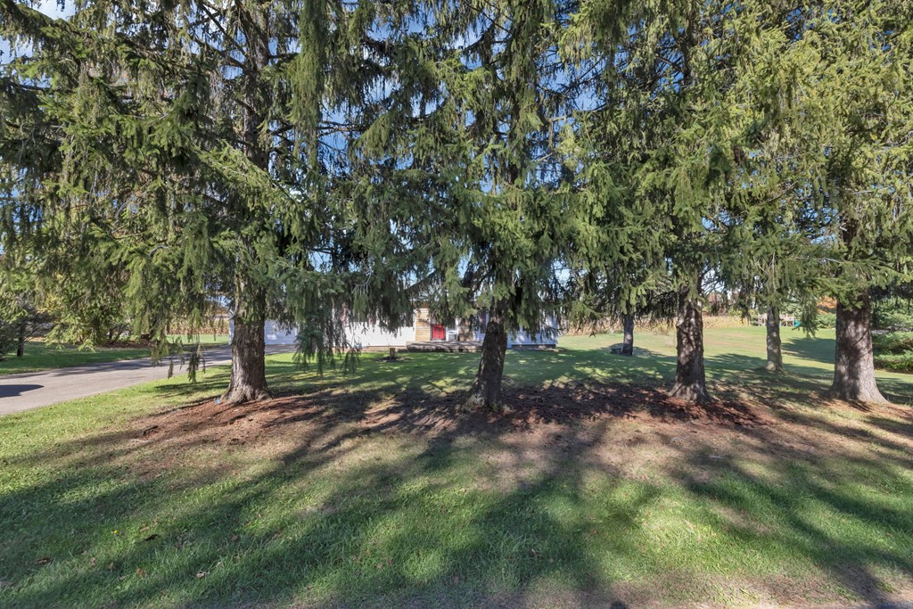 2331 Fleming Falls Road, Mansfield, Ohio 44903, 3 Bedrooms Bedrooms, ,2 BathroomsBathrooms,Residential,For Sale,Fleming Falls Road,9069674