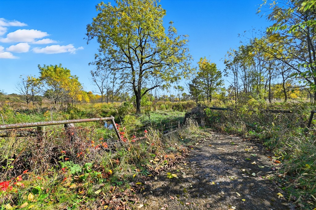1421 N State Route 18, Republic, Ohio 44867, 5 Bedrooms Bedrooms, ,2 BathroomsBathrooms,Residential,For Sale,State Route 18,9069706 1421 N State Route 18, Republic, Ohio 44867, 5 Bedrooms Bedrooms, ,2 BathroomsBathrooms,Residential,For Sale,State Route 18,9069706