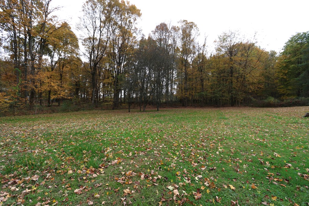 4502 Mill Run Road, Lexington, Ohio 44904, 3 Bedrooms Bedrooms, ,1 BathroomBathrooms,Residential,For Sale,Mill Run Road,9069728 4502 Mill Run Road, Lexington, Ohio 44904, 3 Bedrooms Bedrooms, ,1 BathroomBathrooms,Residential,For Sale,Mill Run Road,9069728