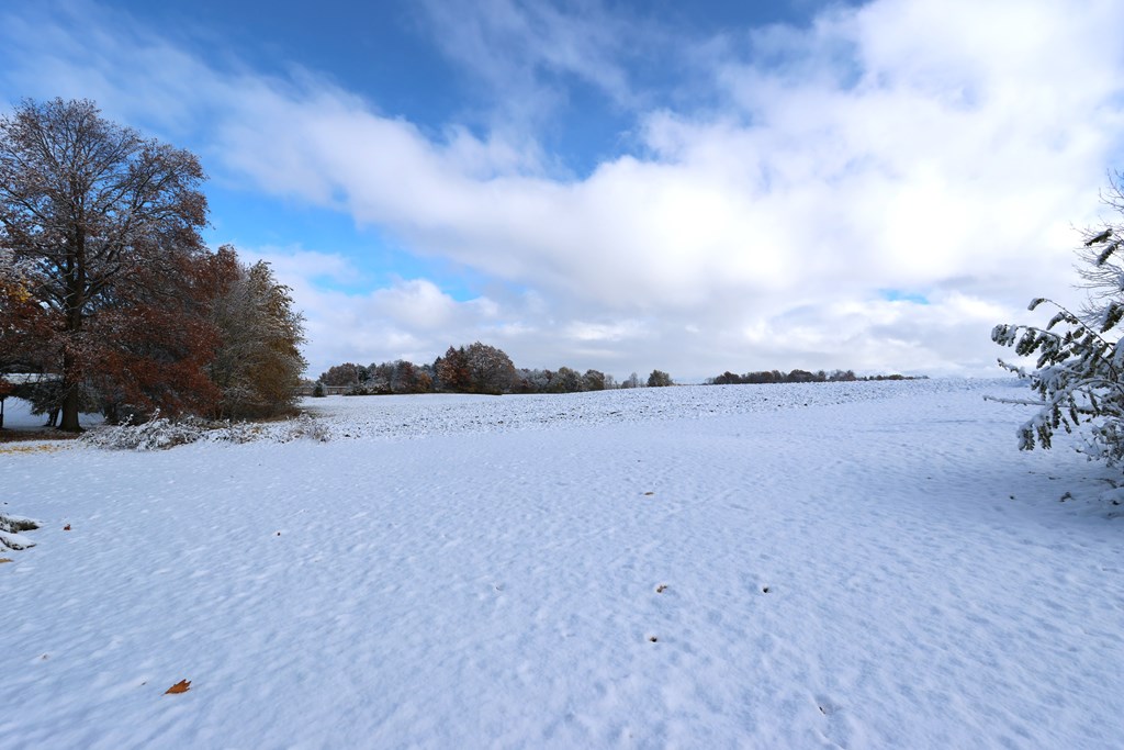 159 E Main Street, Shelby, Ohio 44875, 4 Bedrooms Bedrooms, ,2 BathroomsBathrooms,Residential,For Sale,Main Street,9069879