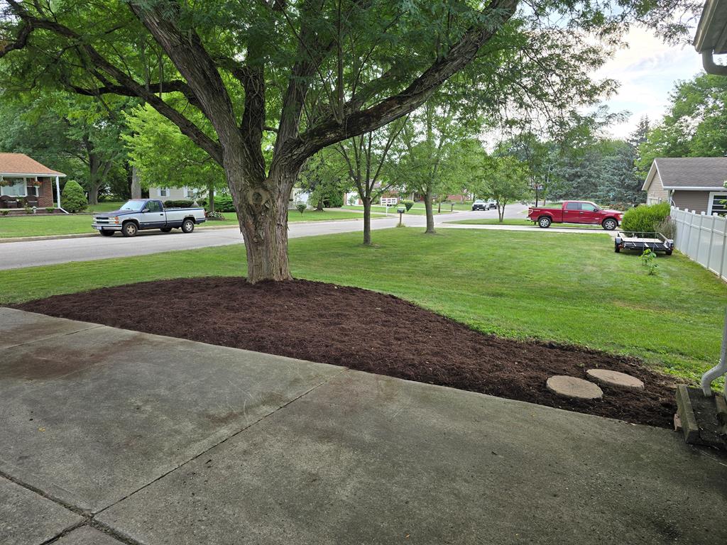 1115 Lavina Avenue, Bucyrus, Ohio 44820, 3 Bedrooms Bedrooms, ,3 BathroomsBathrooms,Residential,For Sale,Lavina Avenue,9069890 1115 Lavina Avenue, Bucyrus, Ohio 44820, 3 Bedrooms Bedrooms, ,3 BathroomsBathrooms,Residential,For Sale,Lavina Avenue,9069890