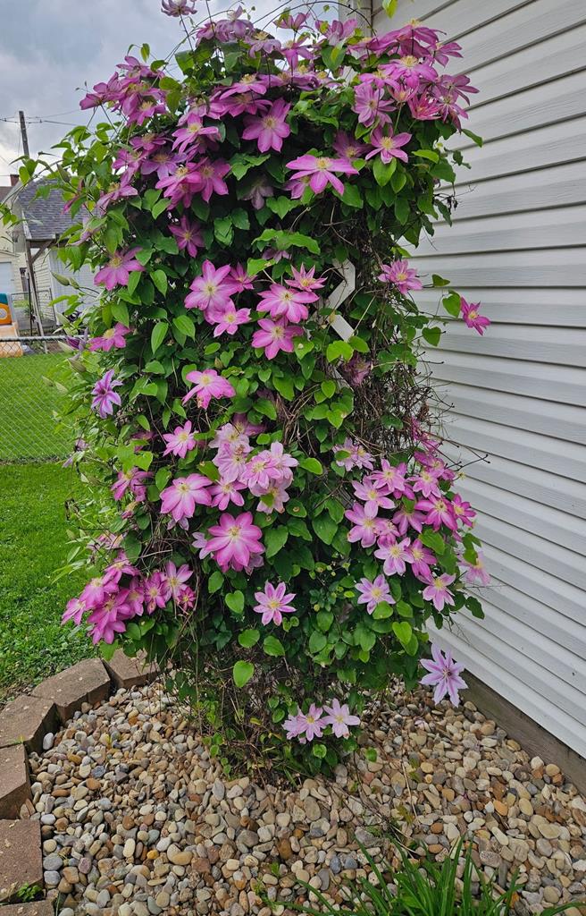 33 Grand Boulevard, Shelby, Ohio 44875, 3 Bedrooms Bedrooms, ,2 BathroomsBathrooms,Residential,For Sale,Grand Boulevard,9069924 33 Grand Boulevard, Shelby, Ohio 44875, 3 Bedrooms Bedrooms, ,2 BathroomsBathrooms,Residential,For Sale,Grand Boulevard,9069924