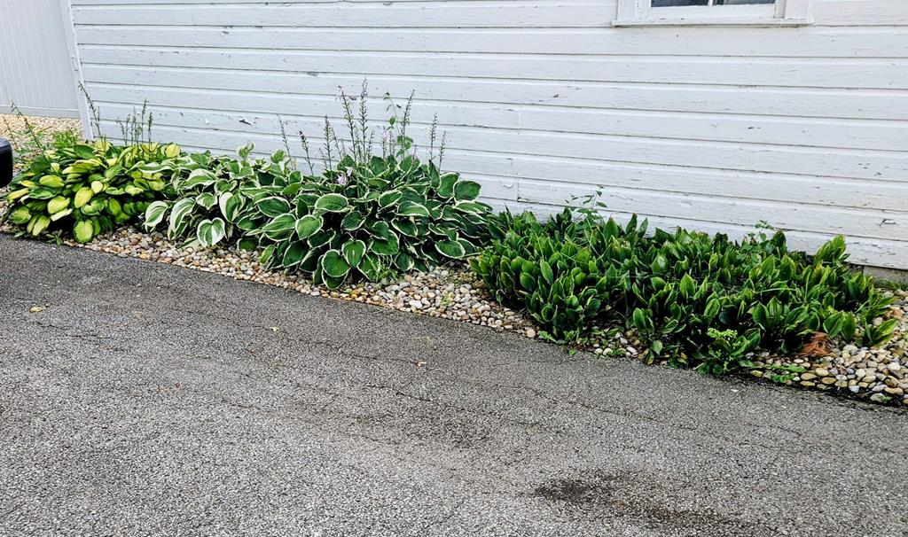 33 Grand Boulevard, Shelby, Ohio 44875, 3 Bedrooms Bedrooms, ,2 BathroomsBathrooms,Residential,For Sale,Grand Boulevard,9069924