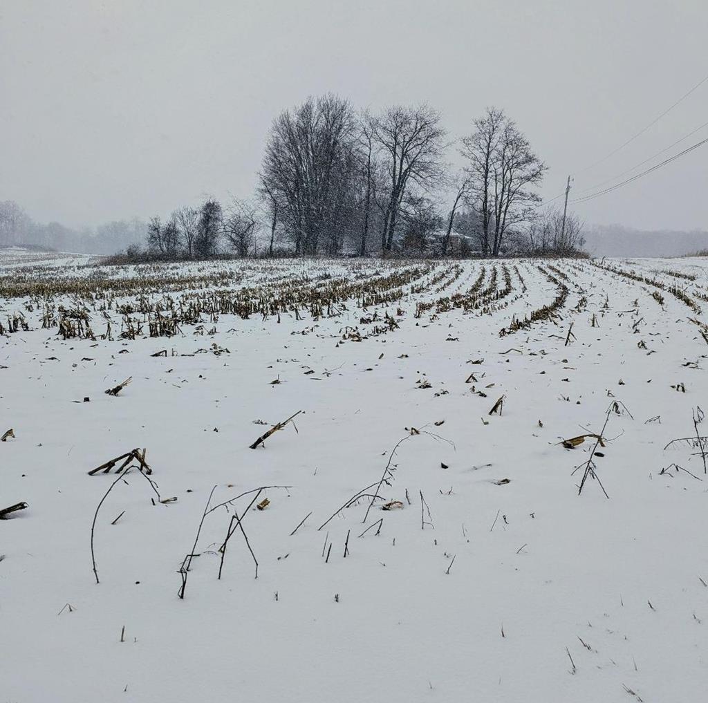 0 Maxwell Road, Lexington, Ohio 44904, ,Land,For Sale,Maxwell Road,9070131