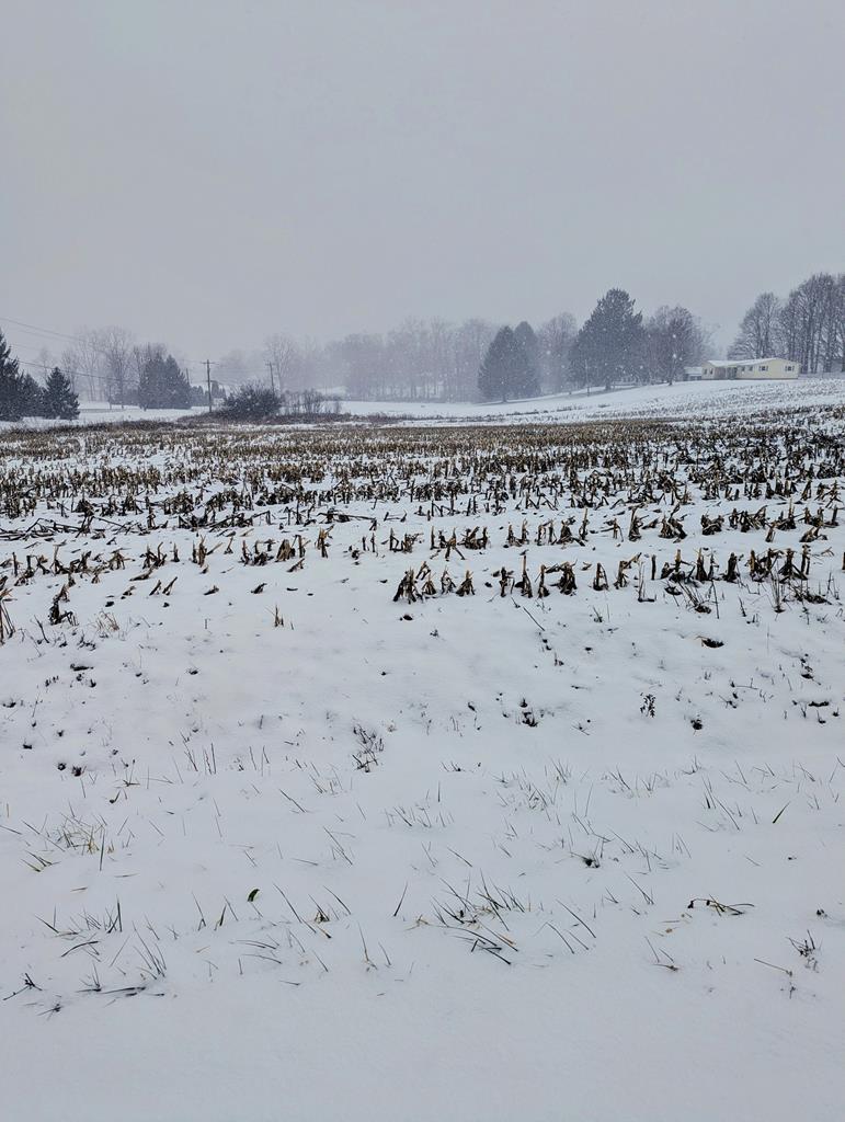 0 Maxwell Road, Lexington, Ohio 44904, ,Land,For Sale,Maxwell Road,9070131