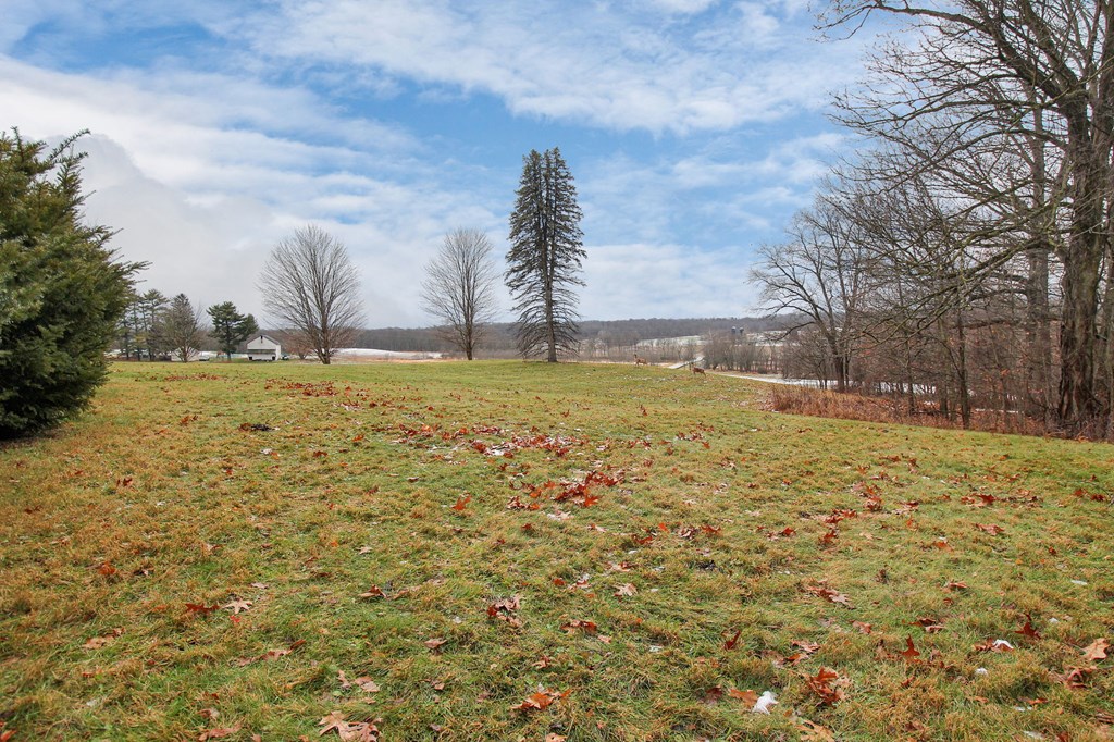 3695 Mcnaul Road, Mansfield, Ohio 44903, 3 Bedrooms Bedrooms, ,2 BathroomsBathrooms,Residential,For Sale,Mcnaul Road,9070151