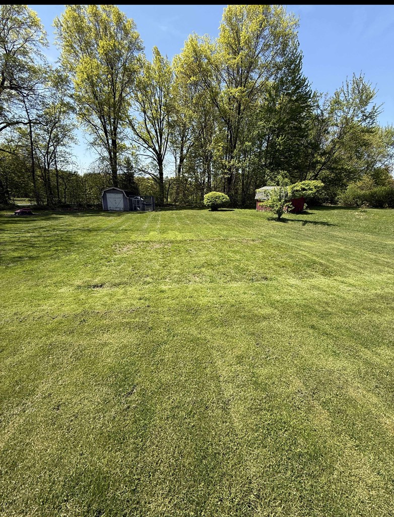 1085 Lewis Road, Mansfield, Ohio 44903, 4 Bedrooms Bedrooms, ,2 BathroomsBathrooms,Residential,For Sale,Lewis Road,9067658