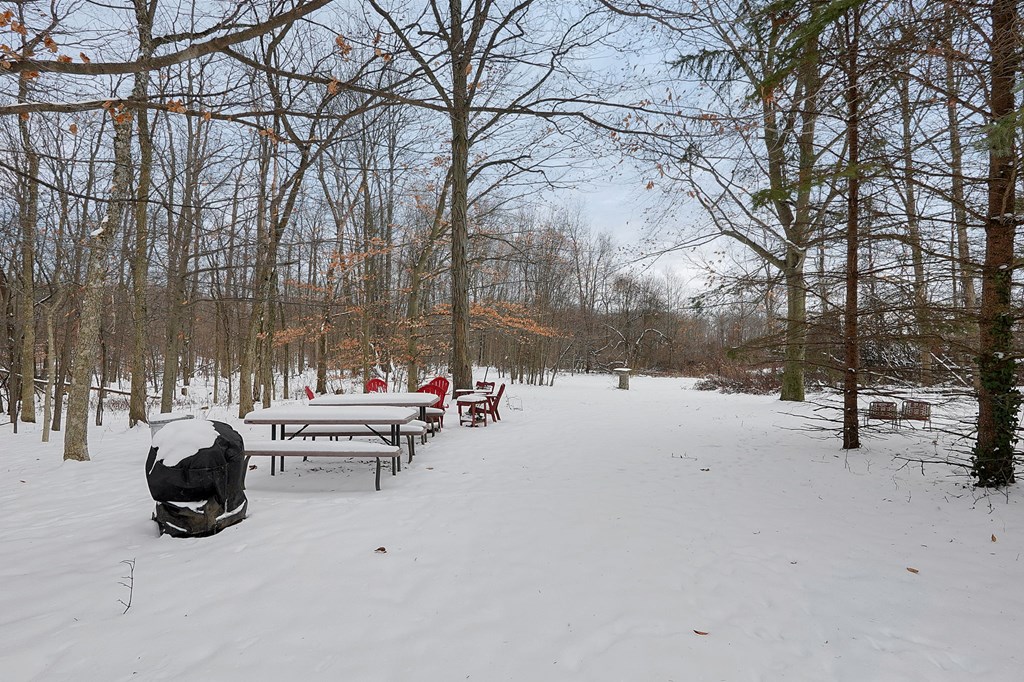 3265 Texter Road, Mansfield, Ohio 44904, 1 Bedroom Bedrooms, ,1 BathroomBathrooms,Residential,For Sale,Texter Road,9070163