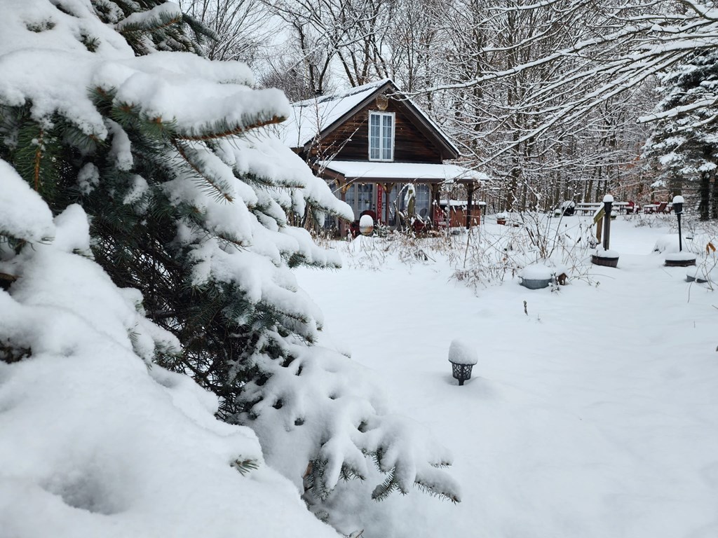 3265 Texter Road, Mansfield, Ohio 44904, 1 Bedroom Bedrooms, ,1 BathroomBathrooms,Residential,For Sale,Texter Road,9070163