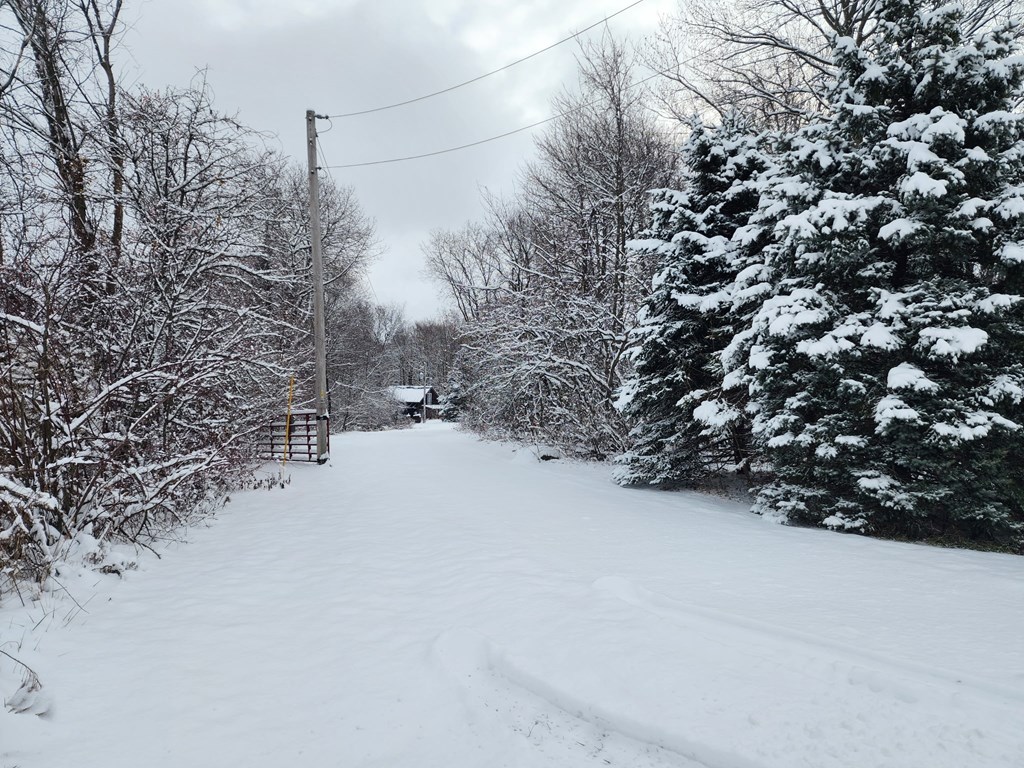 3265 Texter Road, Mansfield, Ohio 44904, 1 Bedroom Bedrooms, ,1 BathroomBathrooms,Residential,For Sale,Texter Road,9070163