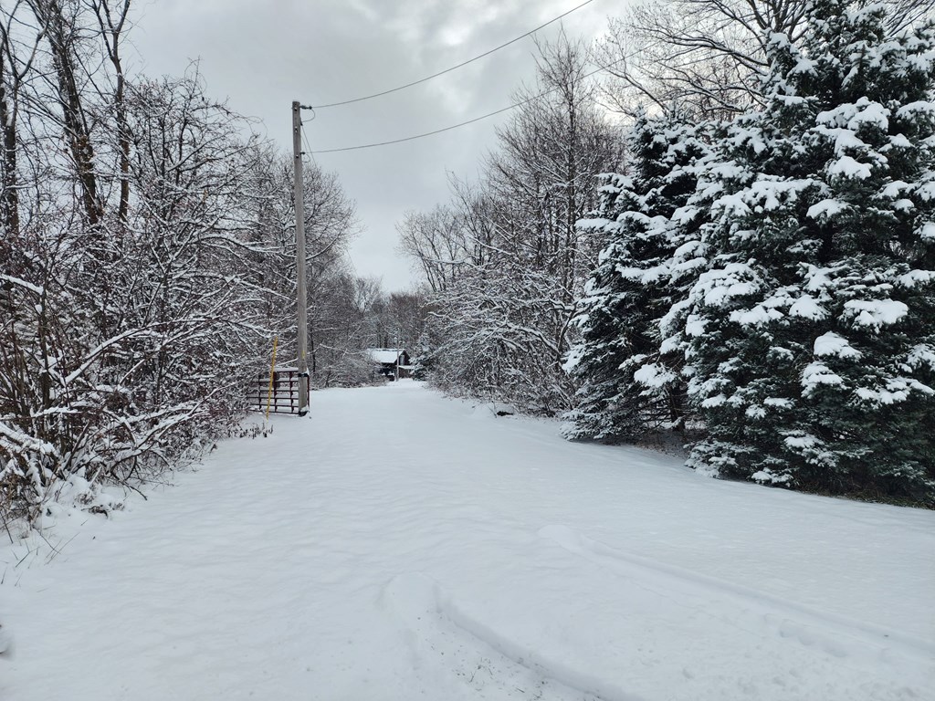 3265 Texter Road, Mansfield, Ohio 44904, 1 Bedroom Bedrooms, ,1 BathroomBathrooms,Residential,For Sale,Texter Road,9070163