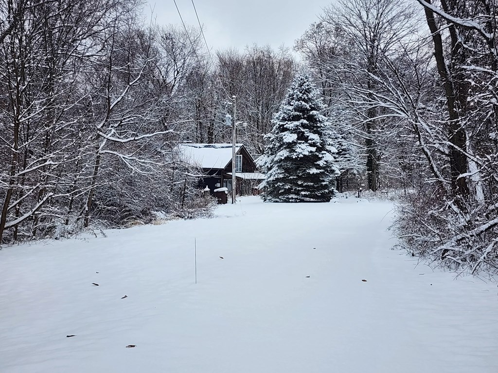 3265 Texter Road, Mansfield, Ohio 44904, 1 Bedroom Bedrooms, ,1 BathroomBathrooms,Residential,For Sale,Texter Road,9070163