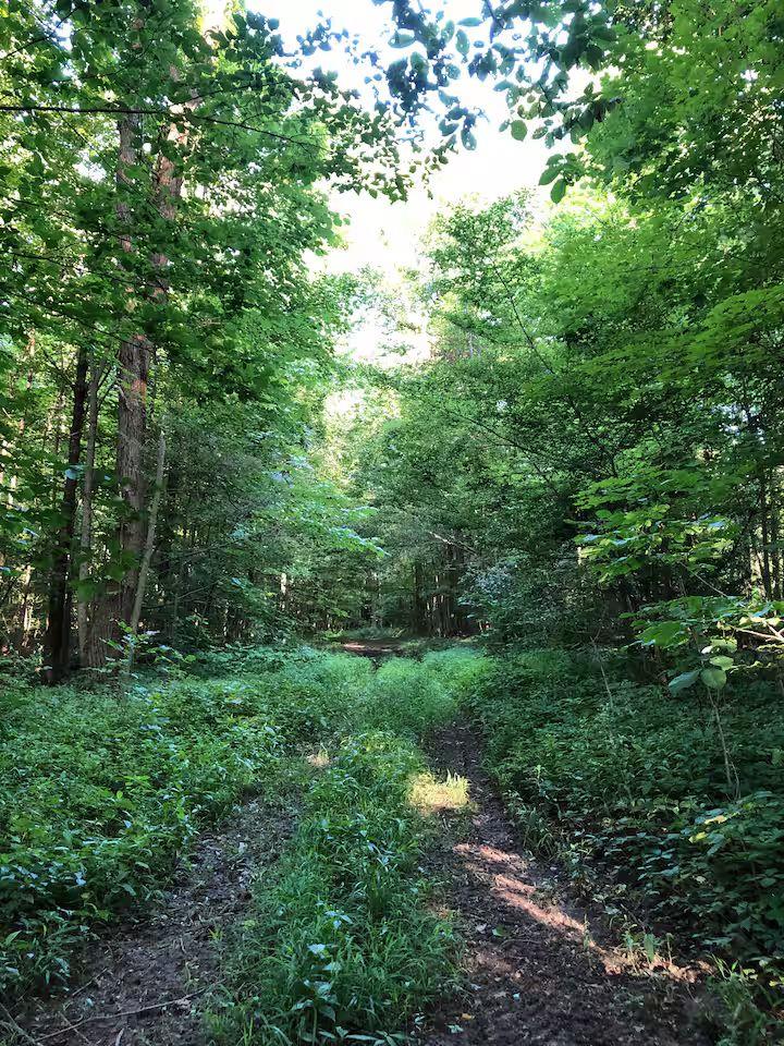 3265 Texter Road, Mansfield, Ohio 44904, 1 Bedroom Bedrooms, ,1 BathroomBathrooms,Residential,For Sale,Texter Road,9070163