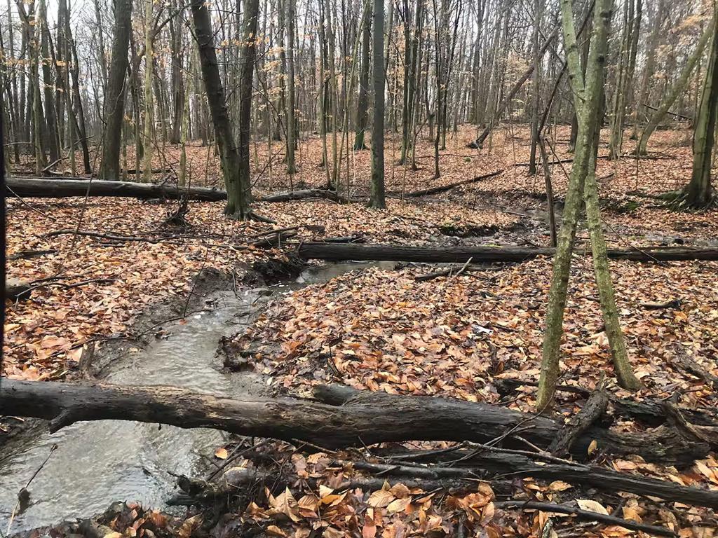 3265 Texter Road, Mansfield, Ohio 44904, 1 Bedroom Bedrooms, ,1 BathroomBathrooms,Residential,For Sale,Texter Road,9070163