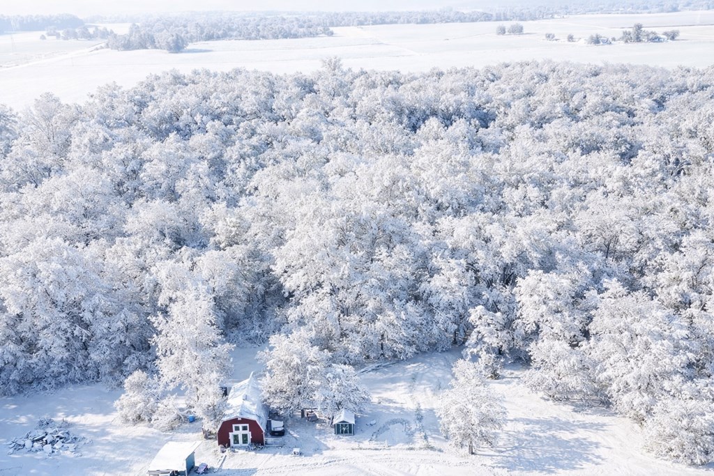 8783 Township Road 34, Galion, Ohio 44833, ,Land,For Sale,Township Road 34,9070382