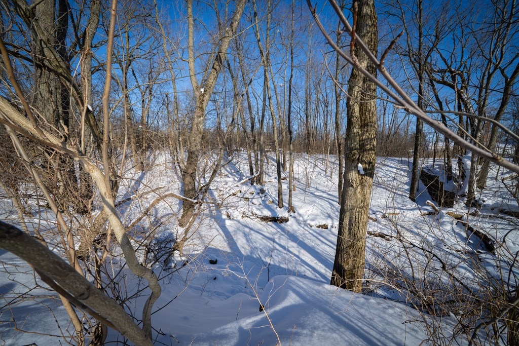 416 S Pearl Street, Crestline, Ohio 44827, 3 Bedrooms Bedrooms, ,1 BathroomBathrooms,Residential,For Sale,Pearl Street,9070385