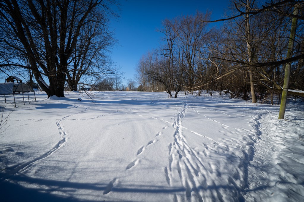 416 S Pearl Street, Crestline, Ohio 44827, 3 Bedrooms Bedrooms, ,1 BathroomBathrooms,Residential,For Sale,Pearl Street,9070385