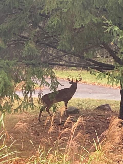 400 Garver Road, Mansfield, Ohio 44903, 5 Bedrooms Bedrooms, ,3 BathroomsBathrooms,Residential,For Sale,Garver Road,9070417