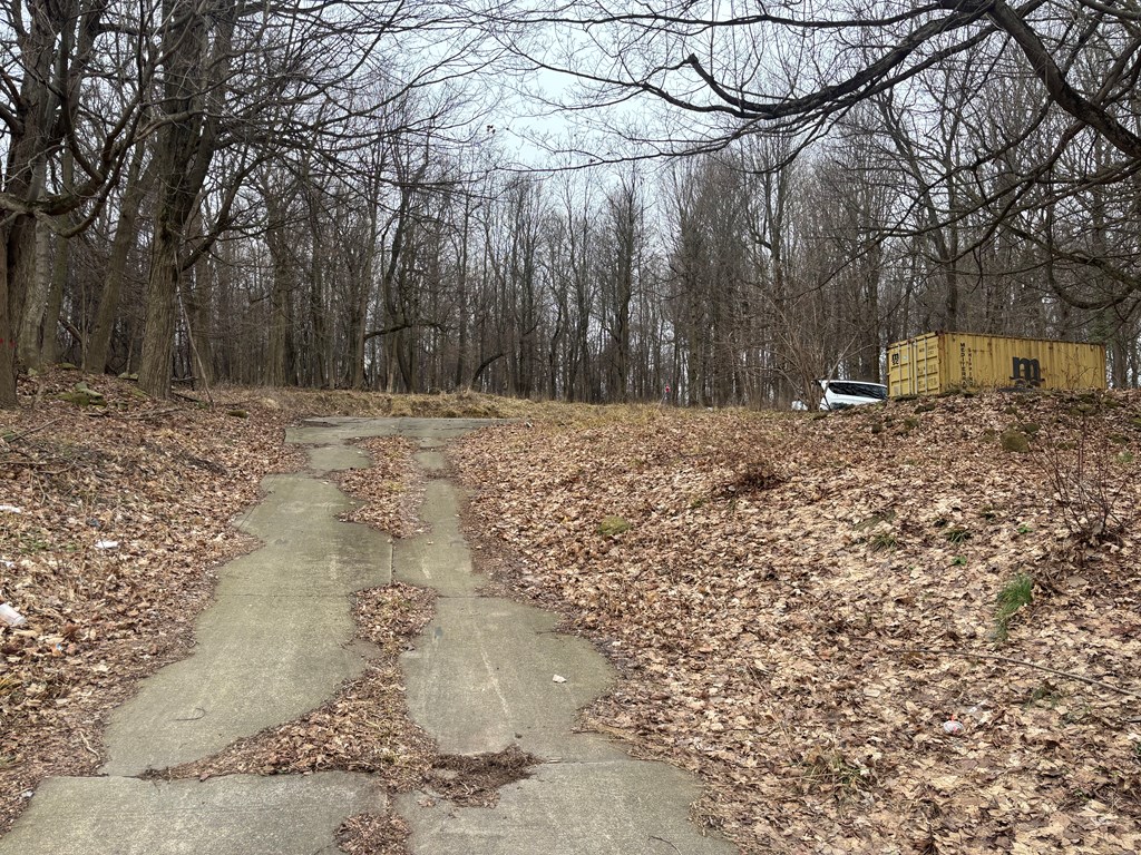 891 Springmill Road, Mansfield, Ohio 44906, ,Land,For Sale,Springmill Road,9070521