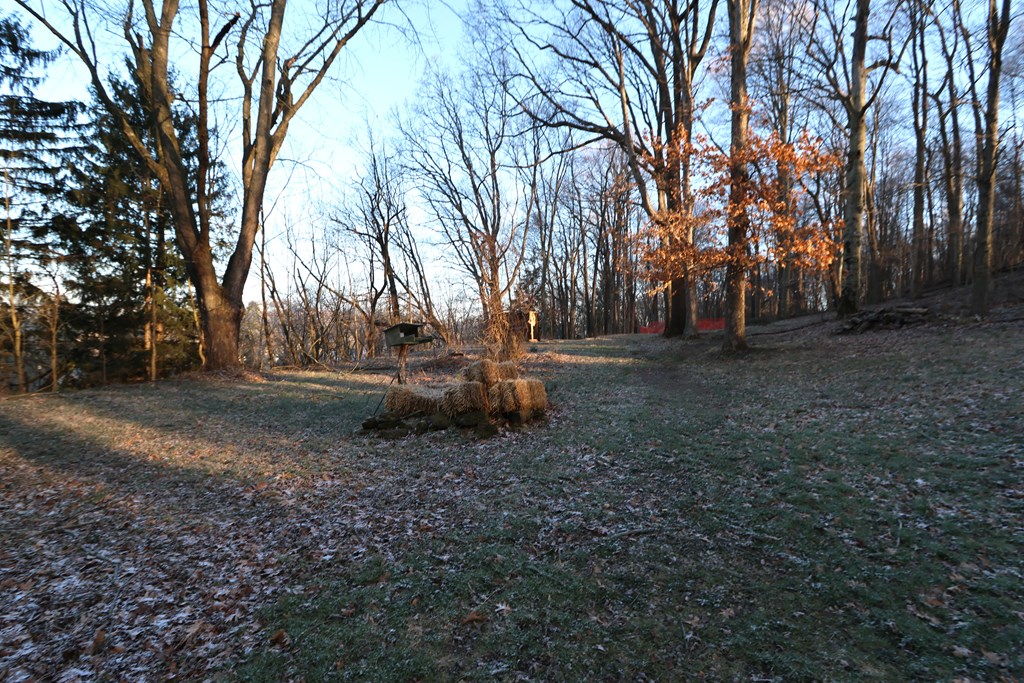 57 Walker Ave Lot #100, Mansfield, Ohio 44905, 3 Bedrooms Bedrooms, ,1 BathroomBathrooms,Residential,For Sale,Walker Ave Lot #100,9072768