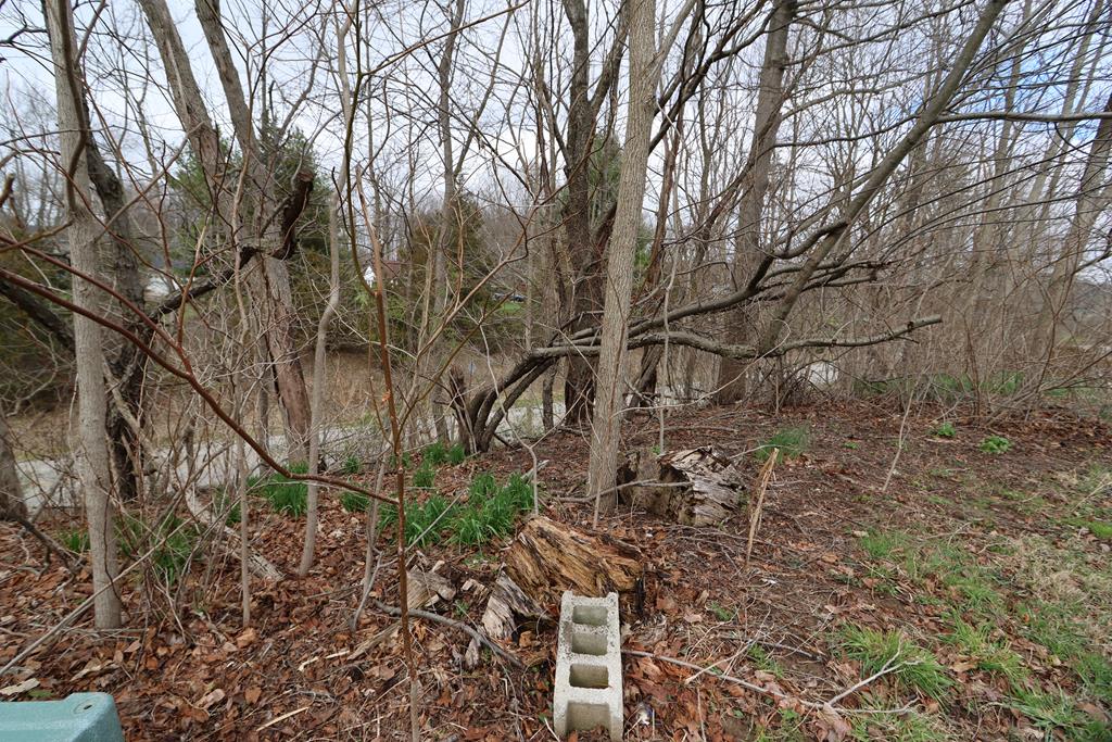 0 Mt Zion Road, Mansfield, Ohio 44903, ,Land,For Sale,Mt Zion Road,9072801 0 Mt Zion Road, Mansfield, Ohio 44903, ,Land,For Sale,Mt Zion Road,9072801