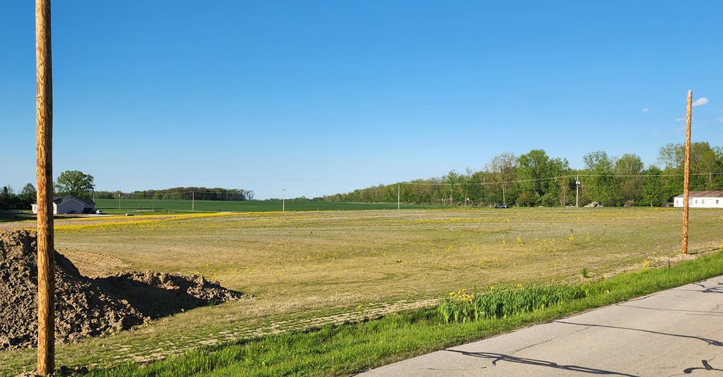 0 Buehler Street, Galion, Ohio 44833, ,Land,For Sale,Buehler Street,9073351