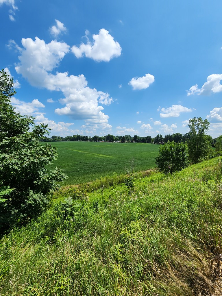 0 Fairview Avenue, Galion, Ohio 44833, ,Land,For Sale,Fairview Avenue,9073352