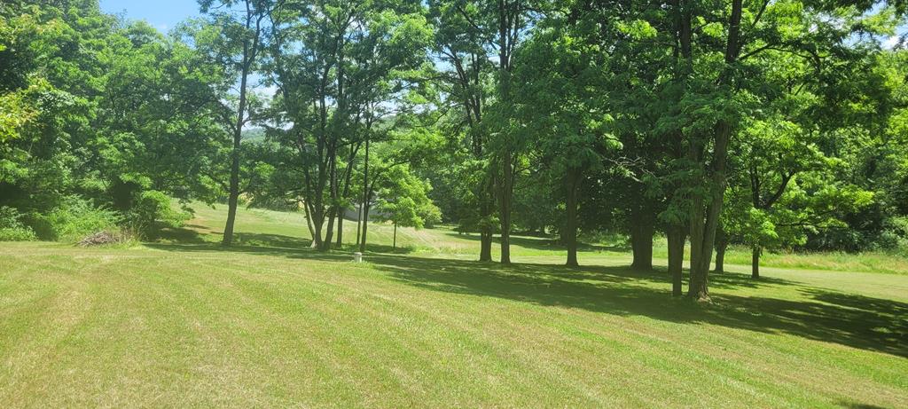 6723 Ankneytown Road, Bellville, Ohio 44813, 2 Bedrooms Bedrooms, ,2 BathroomsBathrooms,Residential,For Sale,Ankneytown Road,9073676