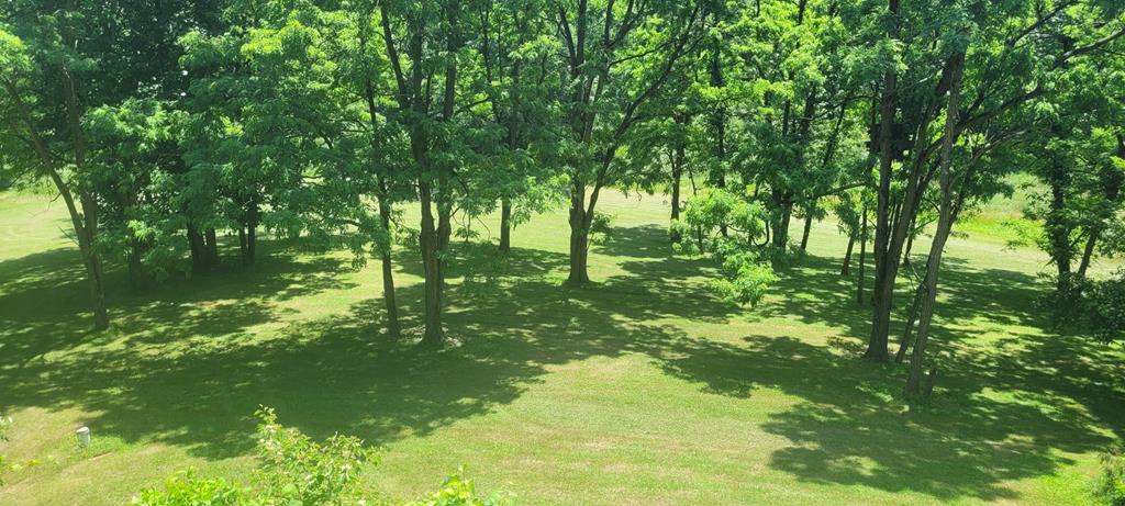6723 Ankneytown Road, Bellville, Ohio 44813, 2 Bedrooms Bedrooms, ,2 BathroomsBathrooms,Residential,For Sale,Ankneytown Road,9073676