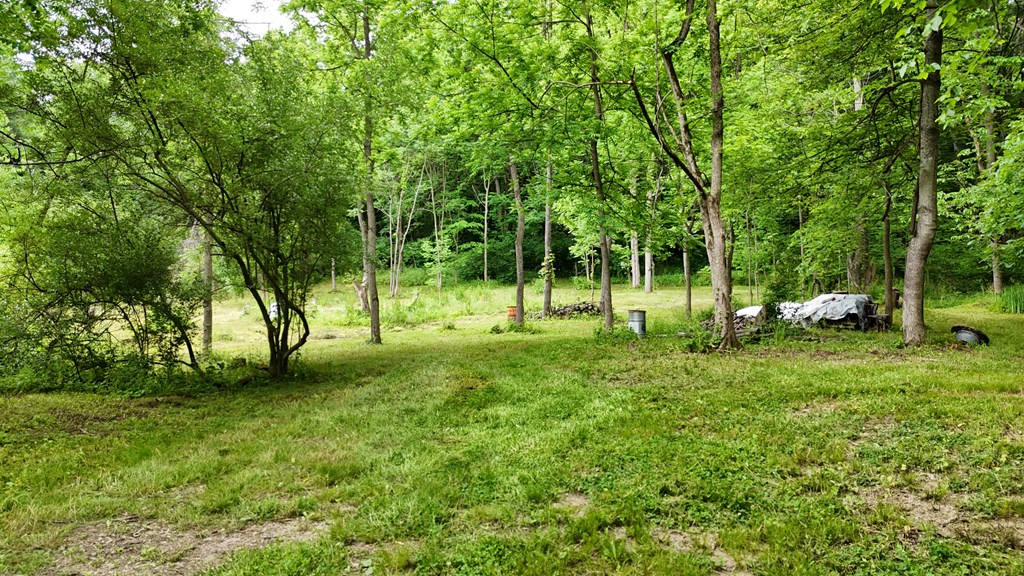 325 W Hanley Road, Mansfield, Ohio 44903, ,Land,For Sale,Hanley Road,9073680