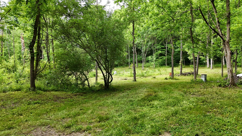 325 W Hanley Road, Mansfield, Ohio 44903, ,Land,For Sale,Hanley Road,9073680
