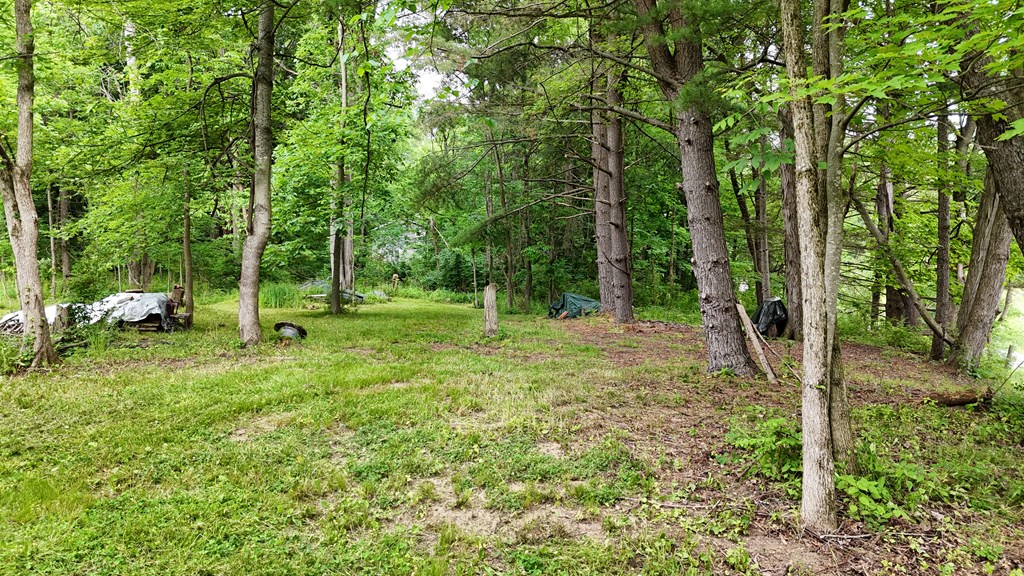 325 W Hanley Road, Mansfield, Ohio 44903, ,Land,For Sale,Hanley Road,9073680