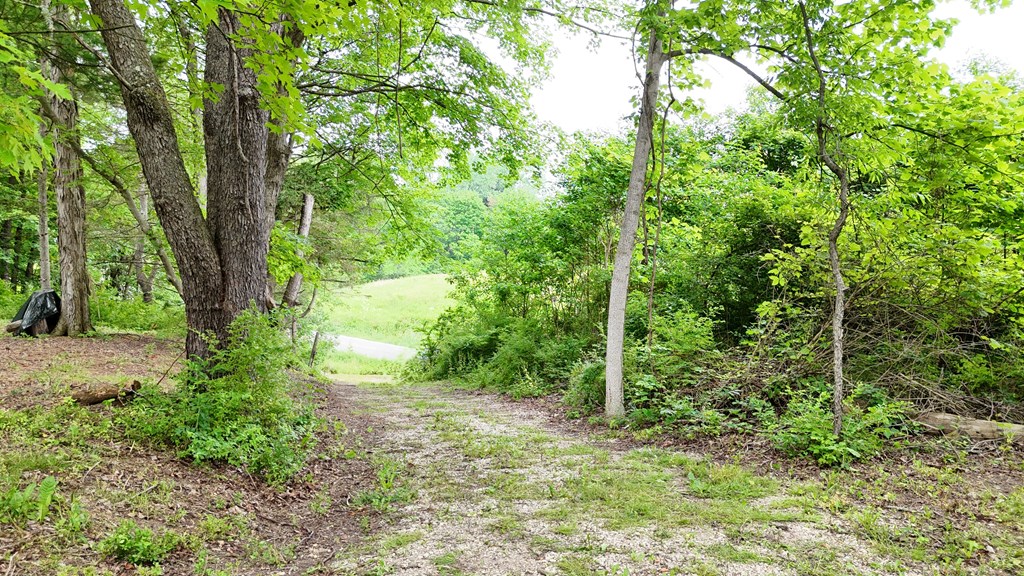325 W Hanley Road, Mansfield, Ohio 44903, ,Land,For Sale,Hanley Road,9073680