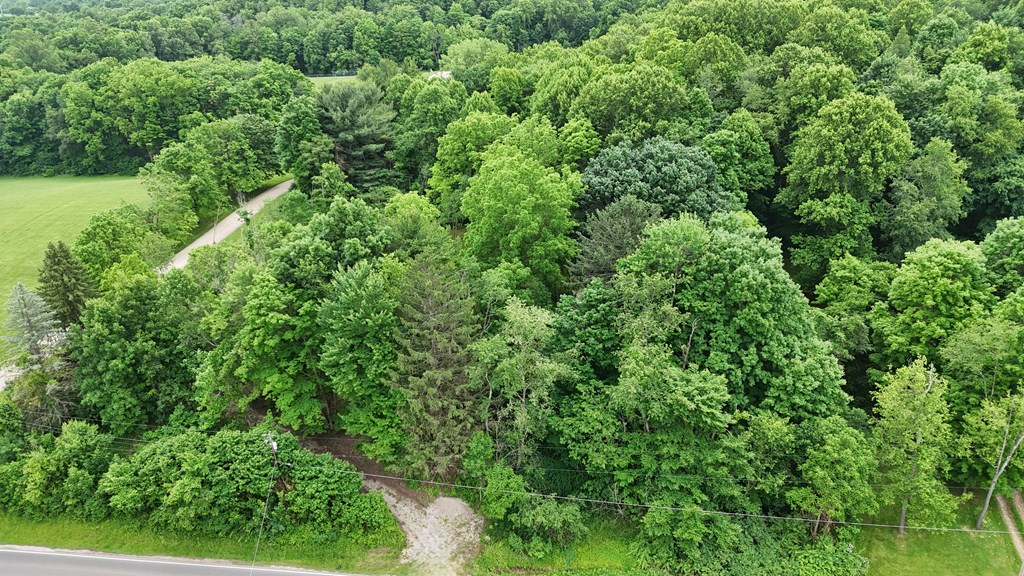 325 W Hanley Road, Mansfield, Ohio 44903, ,Land,For Sale,Hanley Road,9073680