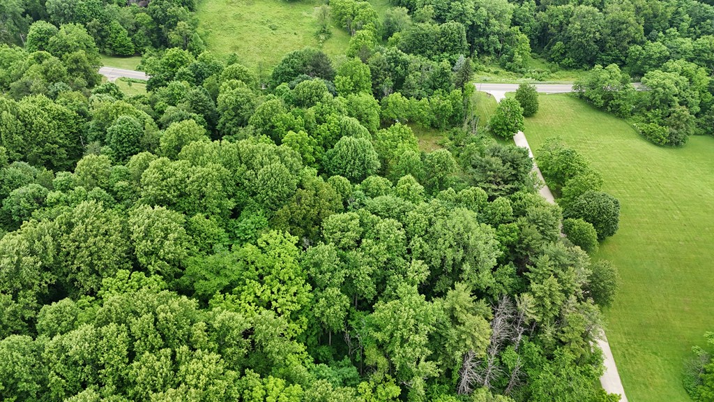 325 W Hanley Road, Mansfield, Ohio 44903, ,Land,For Sale,Hanley Road,9073680