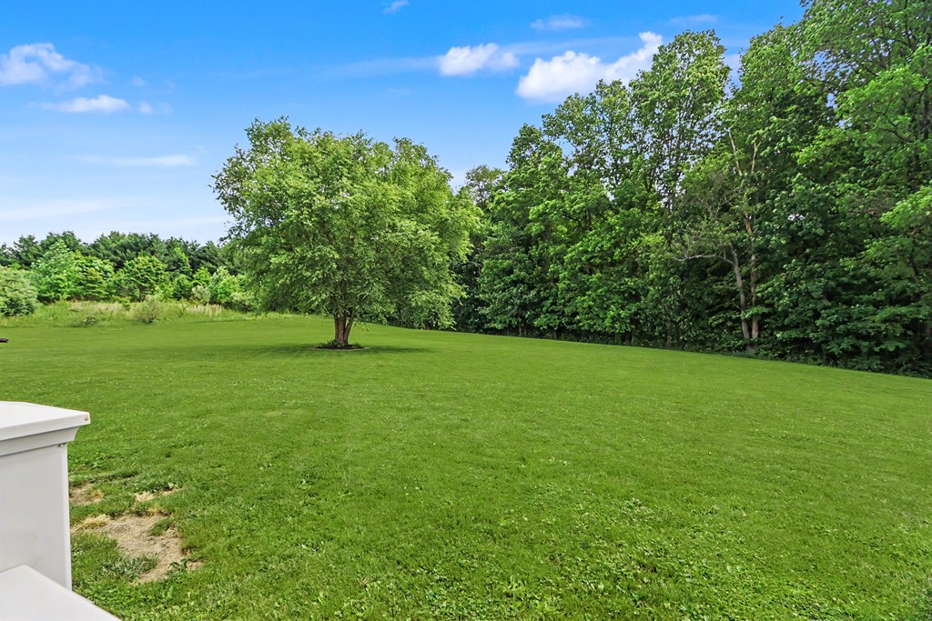 1393 Wittmer Road, Mansfield, Ohio 44903, 5 Bedrooms Bedrooms, ,5 BathroomsBathrooms,Residential,For Sale,Wittmer Road,9073735 1393 Wittmer Road, Mansfield, Ohio 44903, 5 Bedrooms Bedrooms, ,5 BathroomsBathrooms,Residential,For Sale,Wittmer Road,9073735