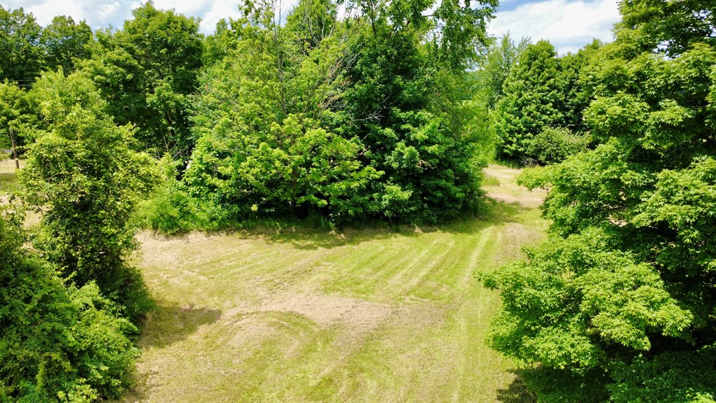 6574 U.S. 42, Mount Gilead, Ohio 43338, ,Land,For Sale,U.S. 42,9073861