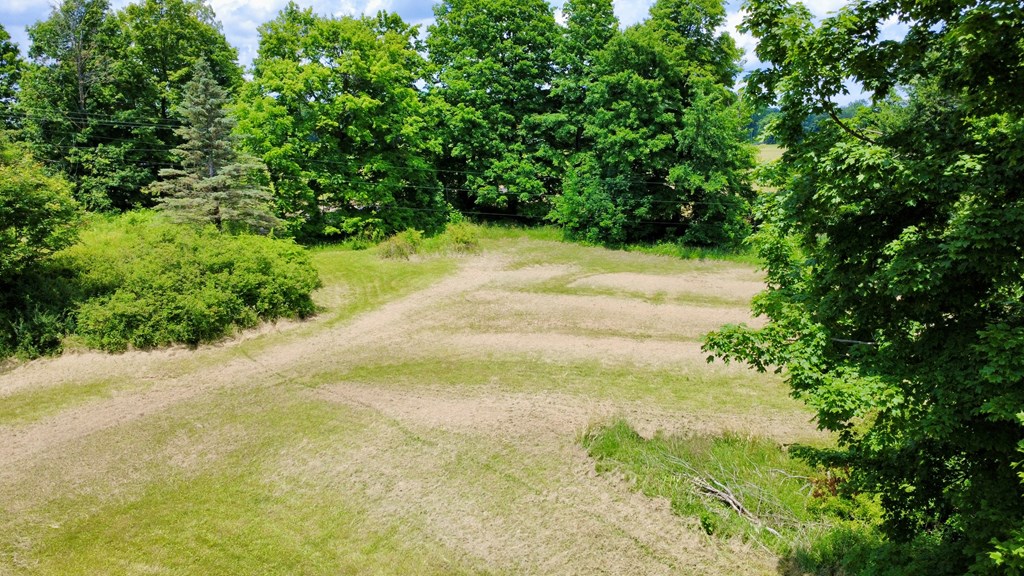 6574 U.S. 42, Mount Gilead, Ohio 43338, ,Land,For Sale,U.S. 42,9073861