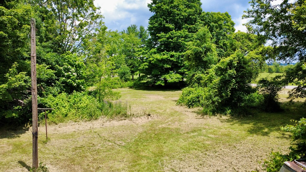 6574 U.S. 42, Mount Gilead, Ohio 43338, ,Land,For Sale,U.S. 42,9073861