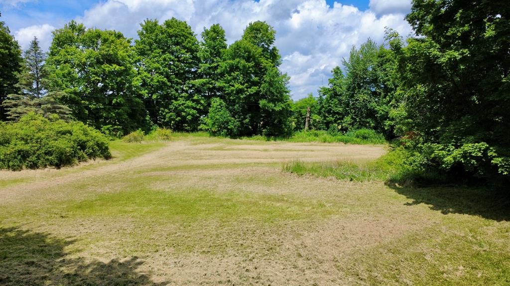 6574 U.S. 42, Mount Gilead, Ohio 43338, ,Land,For Sale,U.S. 42,9073861