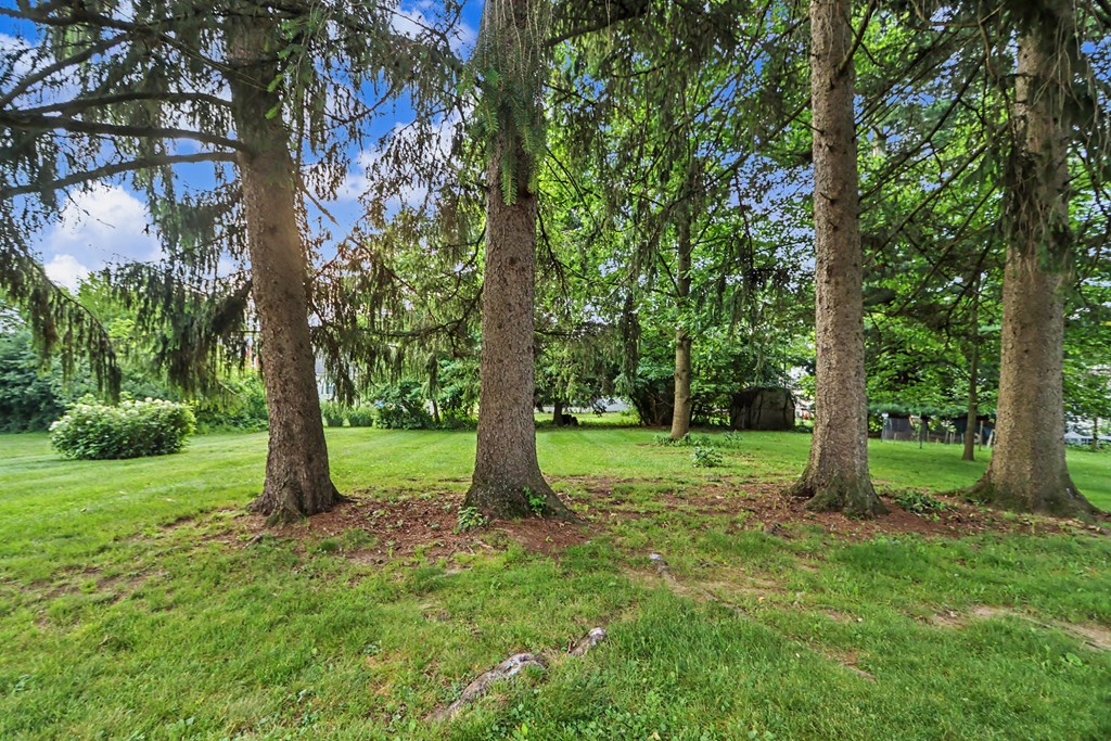 211 Oakwood Drive, Mansfield, Ohio 44906, 2 Bedrooms Bedrooms, ,1 BathroomBathrooms,Residential,For Sale,Oakwood Drive,9073880 211 Oakwood Drive, Mansfield, Ohio 44906, 2 Bedrooms Bedrooms, ,1 BathroomBathrooms,Residential,For Sale,Oakwood Drive,9073880