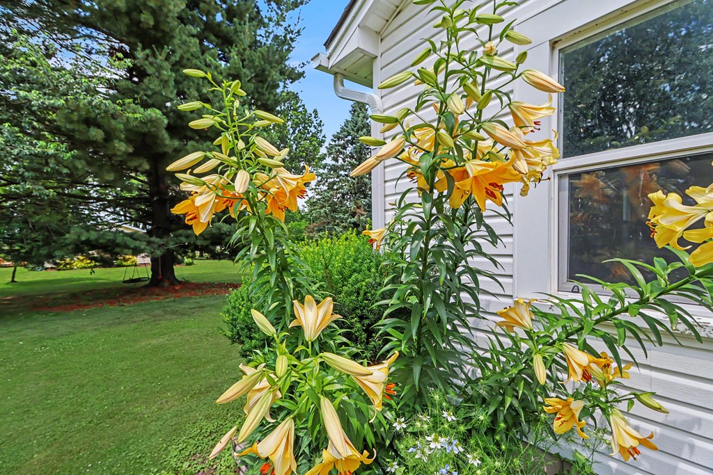 6161 State Route 61, Shelby, Ohio 44875, 2 Bedrooms Bedrooms, ,1 BathroomBathrooms,Residential,For Sale,State Route 61,9073881 6161 State Route 61, Shelby, Ohio 44875, 2 Bedrooms Bedrooms, ,1 BathroomBathrooms,Residential,For Sale,State Route 61,9073881