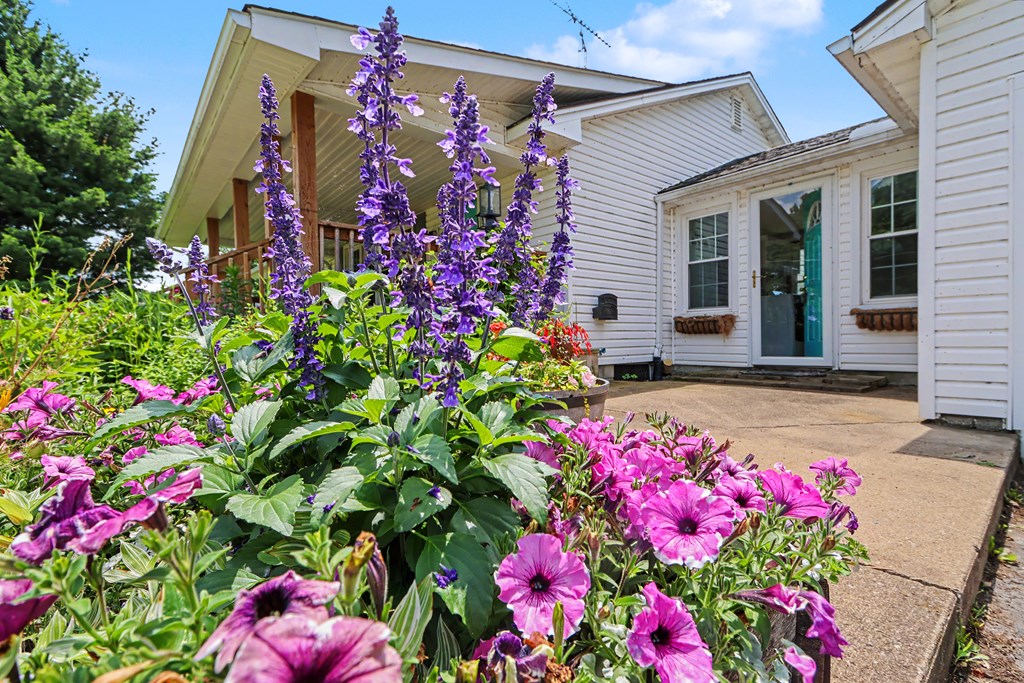 6161 State Route 61, Shelby, Ohio 44875, 2 Bedrooms Bedrooms, ,1 BathroomBathrooms,Residential,For Sale,State Route 61,9073881 6161 State Route 61, Shelby, Ohio 44875, 2 Bedrooms Bedrooms, ,1 BathroomBathrooms,Residential,For Sale,State Route 61,9073881