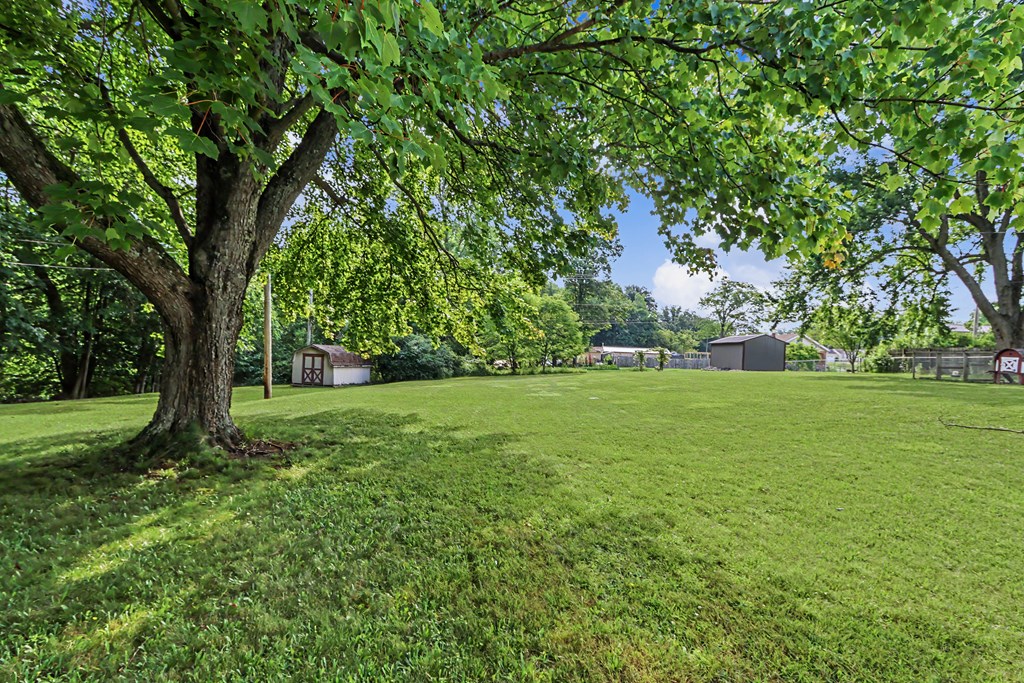 636 Acker Road, Mansfield, Ohio 44905, 3 Bedrooms Bedrooms, ,1 BathroomBathrooms,Residential,For Sale,Acker Road,9073989 636 Acker Road, Mansfield, Ohio 44905, 3 Bedrooms Bedrooms, ,1 BathroomBathrooms,Residential,For Sale,Acker Road,9073989