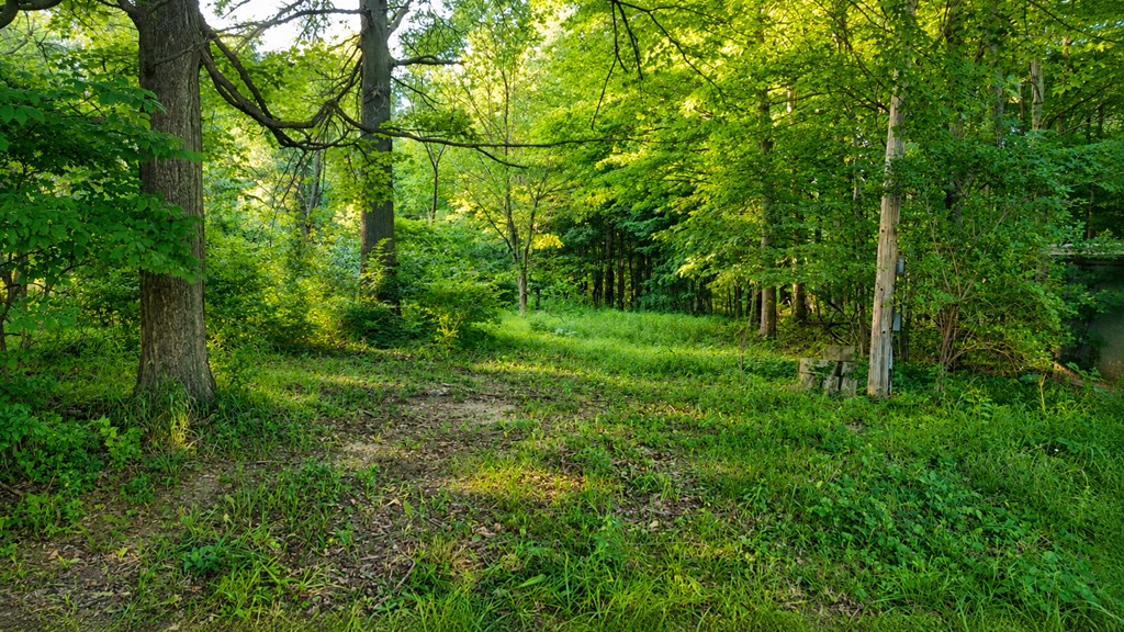 4073 Township Road 51, Galion, Ohio 44833, ,Land,For Sale,Township Road 51,9074005 4073 Township Road 51, Galion, Ohio 44833, ,Land,For Sale,Township Road 51,9074005