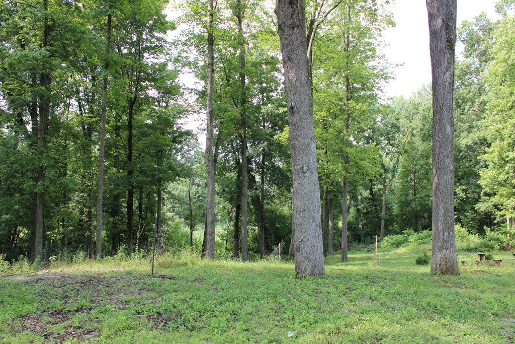 13893 County Road 100, Lakeville, Ohio 44638, 3 Bedrooms Bedrooms, ,2 BathroomsBathrooms,Residential,For Sale,County Road 100,9074089