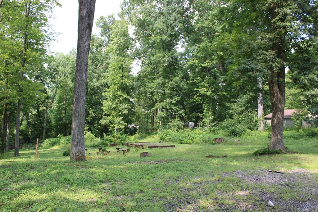 13893 County Road 100, Lakeville, Ohio 44638, 3 Bedrooms Bedrooms, ,2 BathroomsBathrooms,Residential,For Sale,County Road 100,9074089