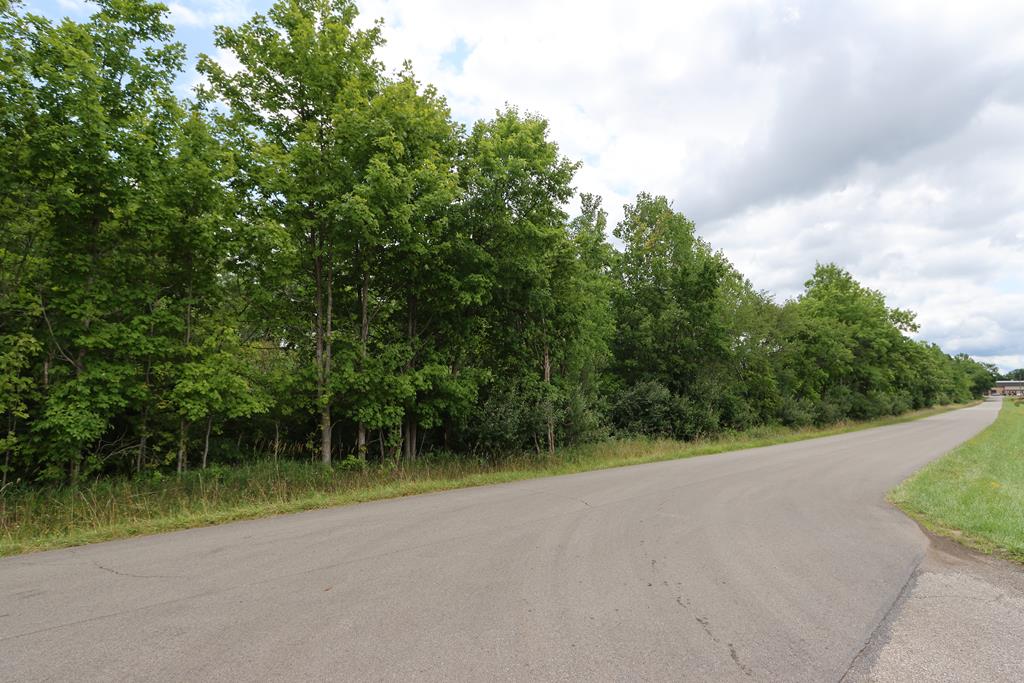 0 Lantz Road, Mansfield, Ohio 44906, ,Land,For Sale,Lantz Road,20100117