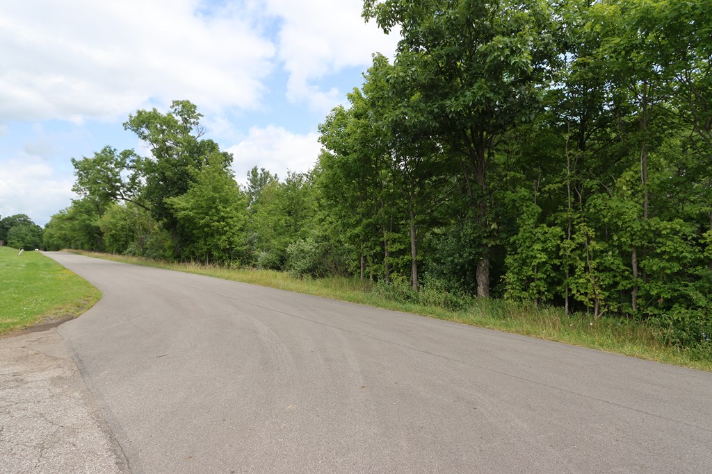 0 Lantz Road, Mansfield, Ohio 44906, ,Land,For Sale,Lantz Road,20100117