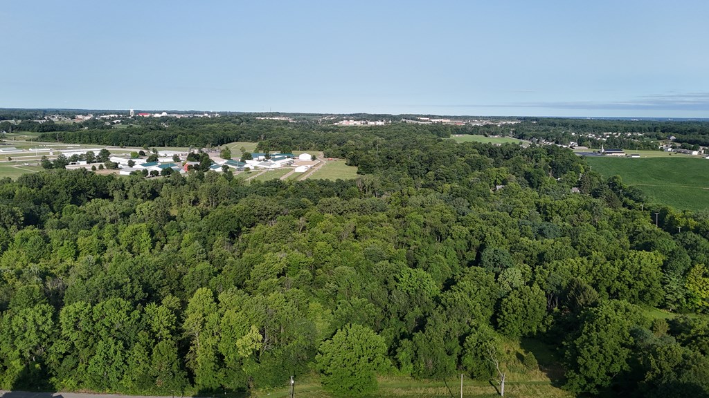 0 Lantz Road, Mansfield, Ohio 44906, ,Land,For Sale,Lantz Road,20100117